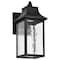 Nuvo Austen Collection, Outdoor Wall Fixture LED SMART Starfish RGBTW Matte Black Clear Water Glass 62/5997 - alternate 1